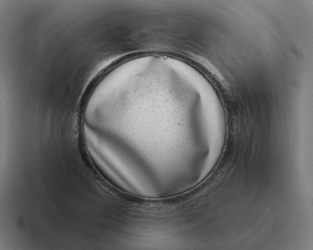 X0000116781364200912311849