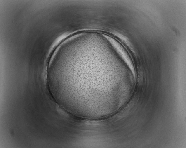 X0000116781366200912311849