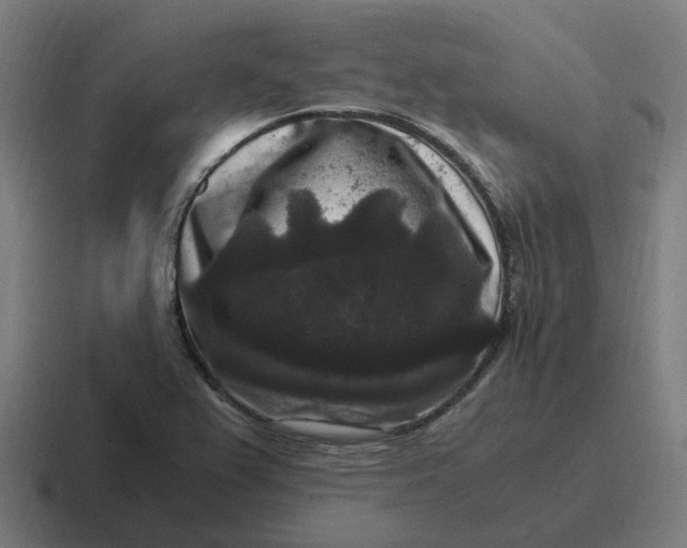X0000116781367200912311849