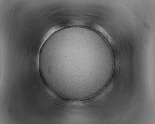 X0000116781370200912311849