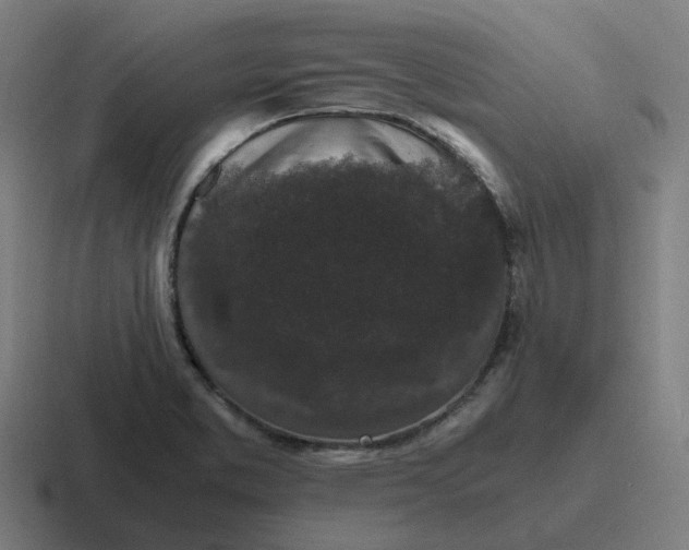 X0000116781373200912311849