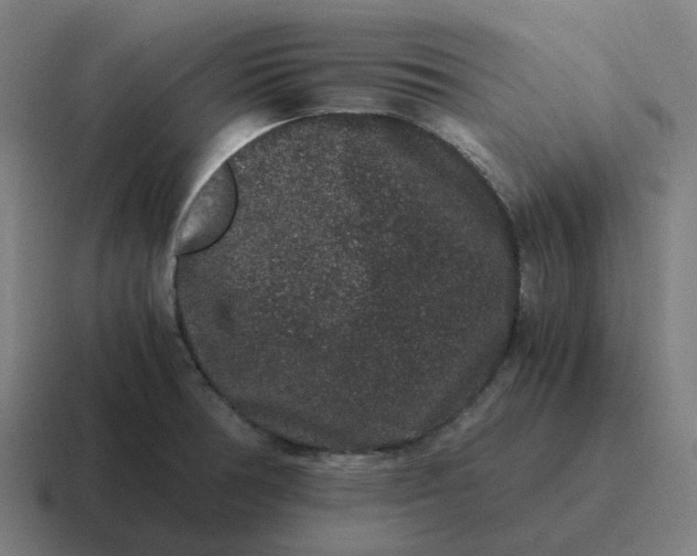 X0000116781378200912311849