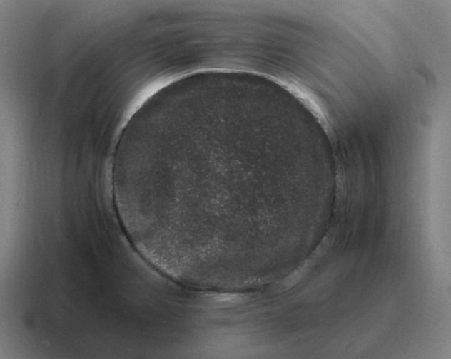 X0000116781382200912311849