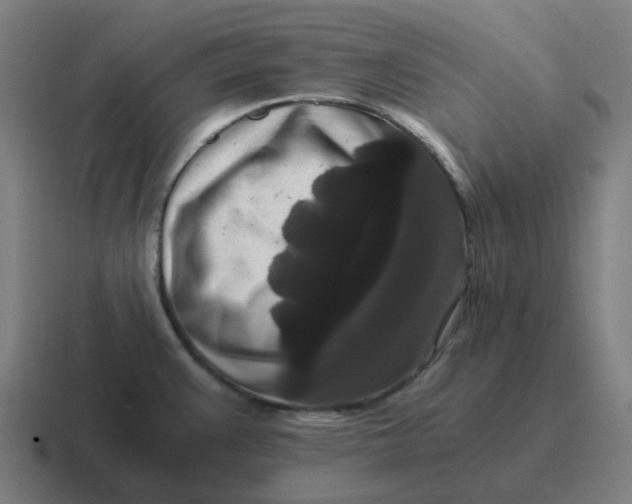 X0000116781383200912311849