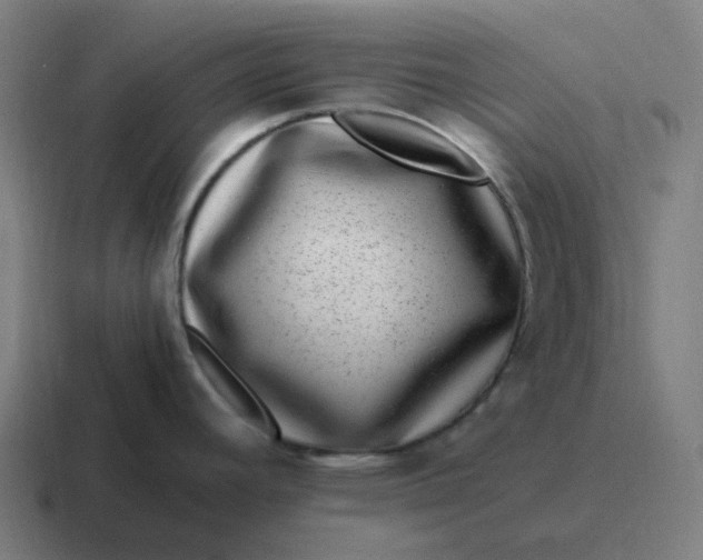 X0000116781392200912311849