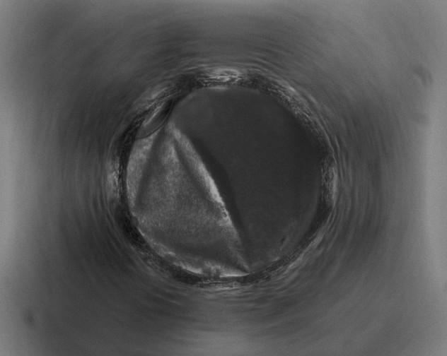 X0000116781394200912311848