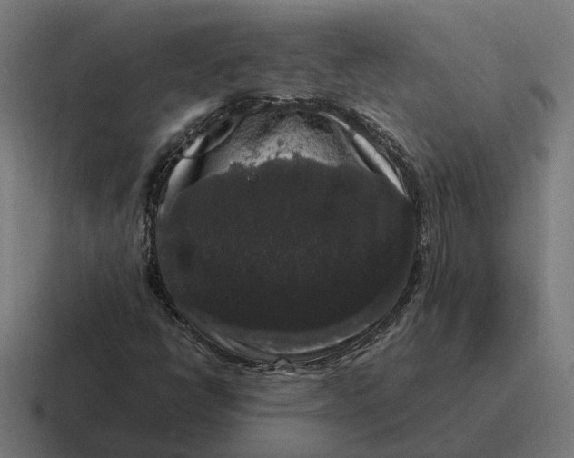 X0000116781398200912311848