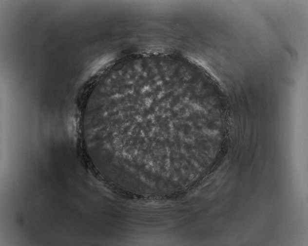 X0000116781399200912311848
