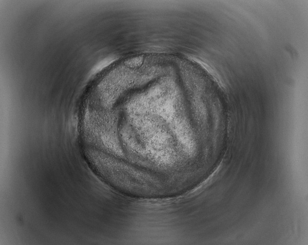 X0000116781402200912311848