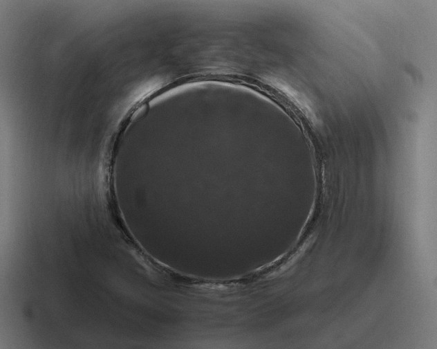 X0000116781405200912311848