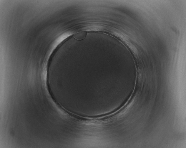 X0000116781418200912311848