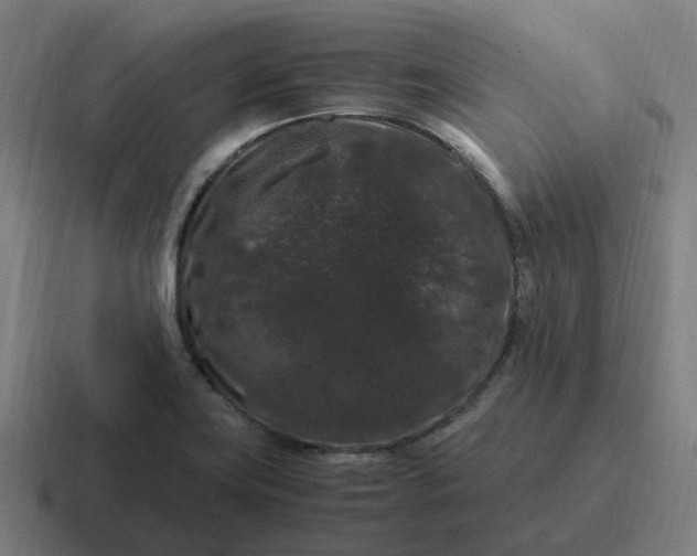 X0000116781419200912311848
