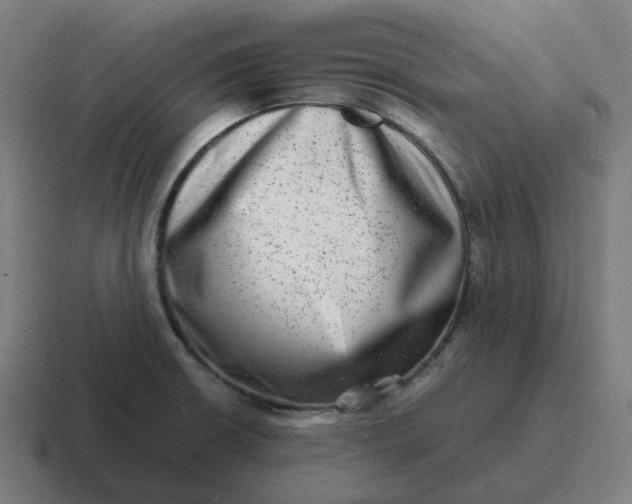 X0000116781426200912311849