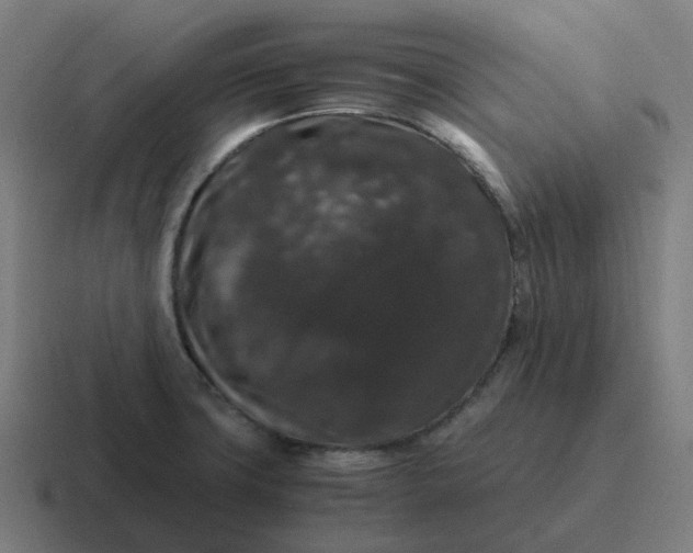 X0000116781427200912311849