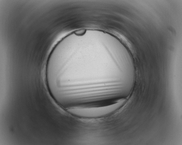 X0000116781432200912311849