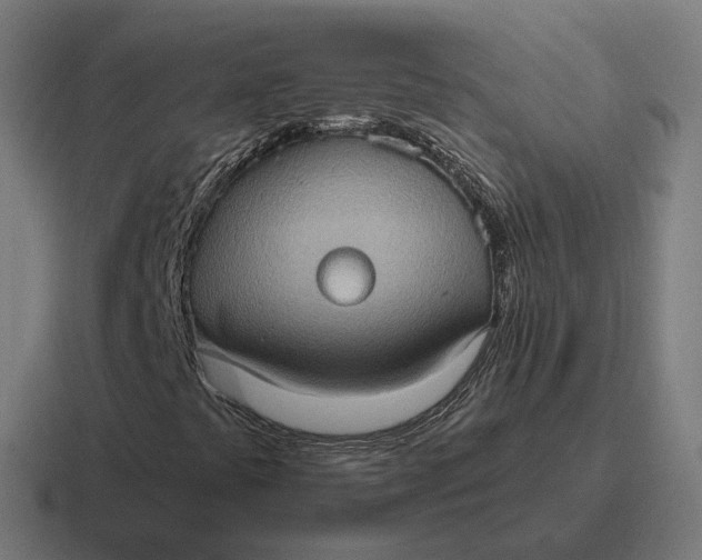 X0000116781441200912311848