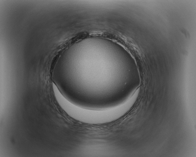 X0000116781445200912311848