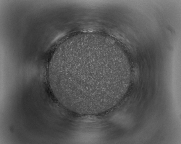 X0000116781446200912311848