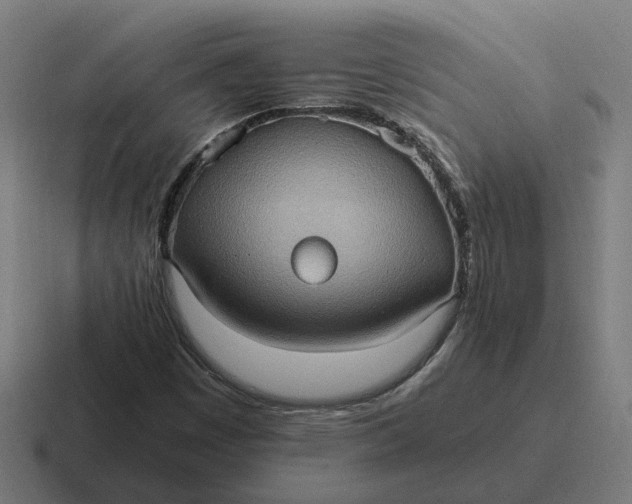 X0000116781449200912311848