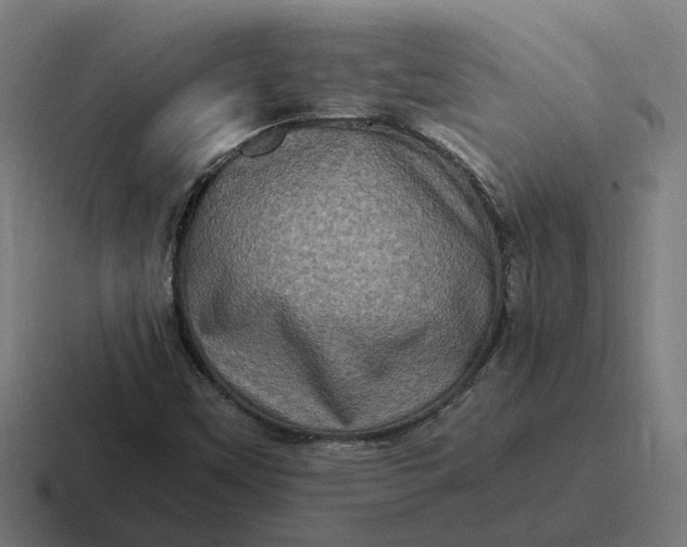 X0000116781451200912311848