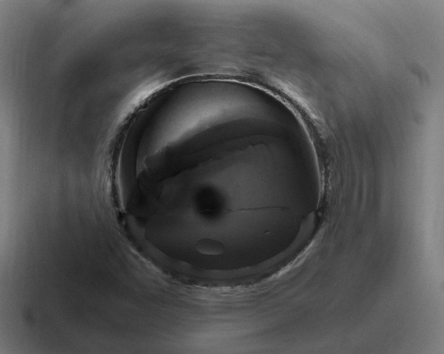 X0000116781455200912311848