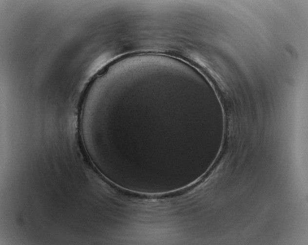 X0000116781459200912311848