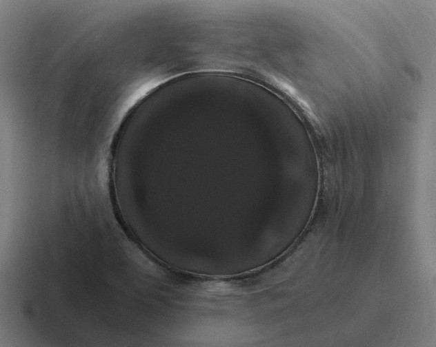 X0000116781463200912311848