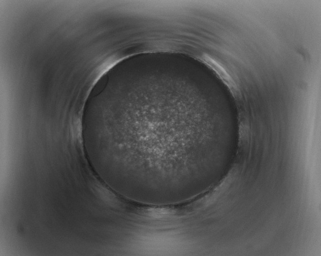 X0000116781465200912311848