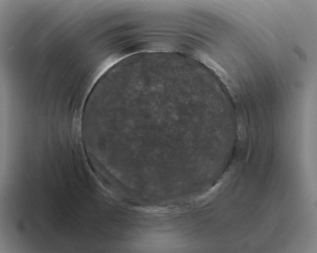 X0000116781473200912311848