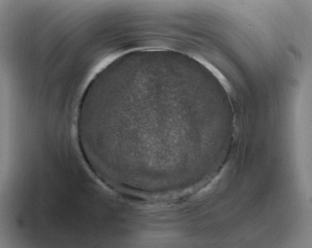 X0000116781477200912311848