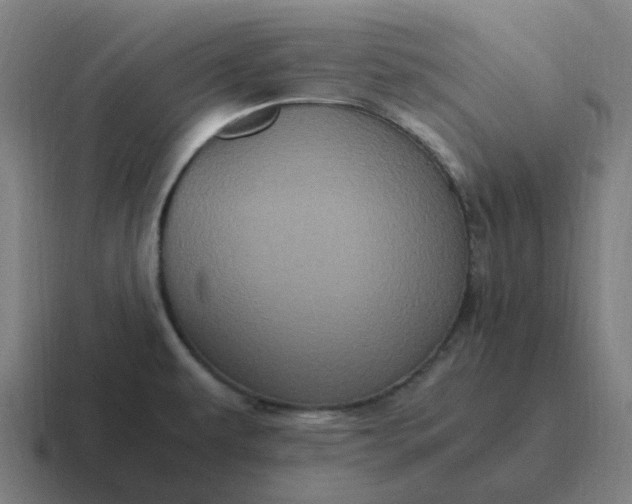 X0000116781479200912311848