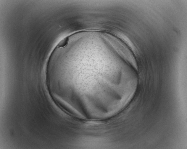 X0000116781483200912311848