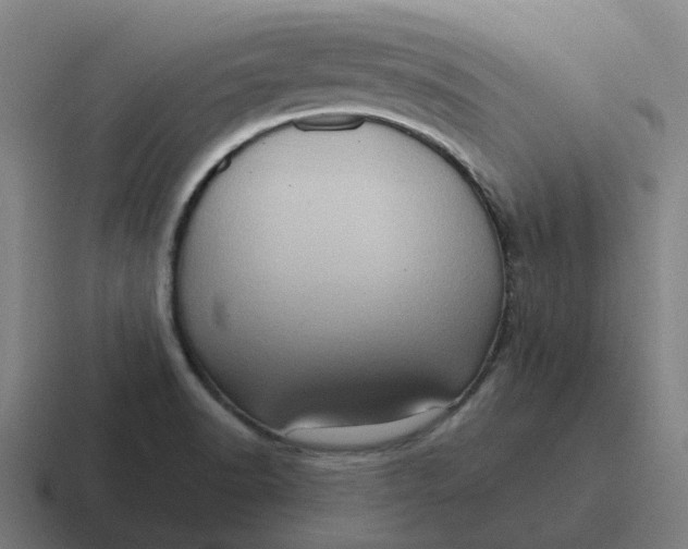 X0000116781518200912311847