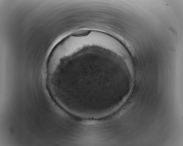 X0000116781522200912311847