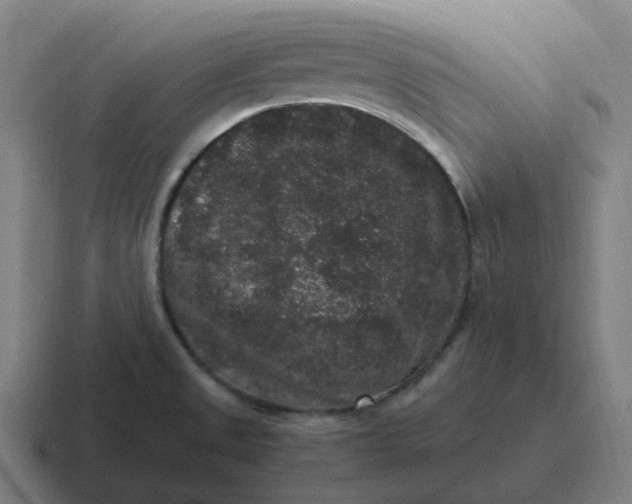 X0000116781525200912311847