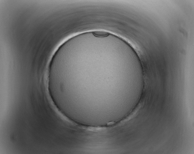 X0000116781526200912311847