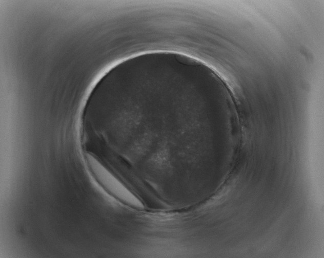 X0000116781527200912311847