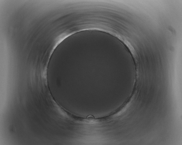 X0000116781529200912311847
