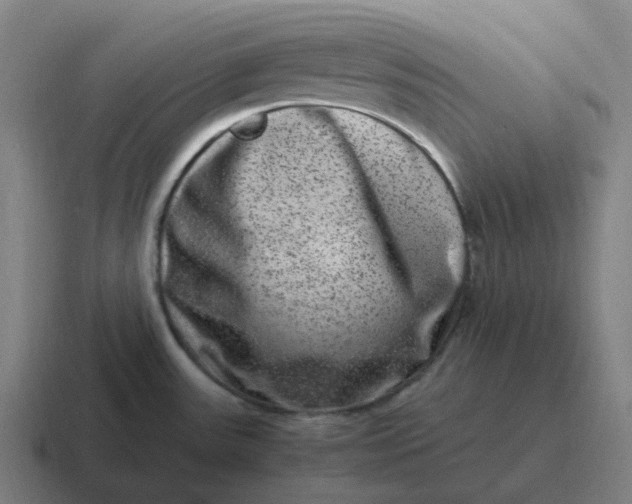 X0000116781531200912311847