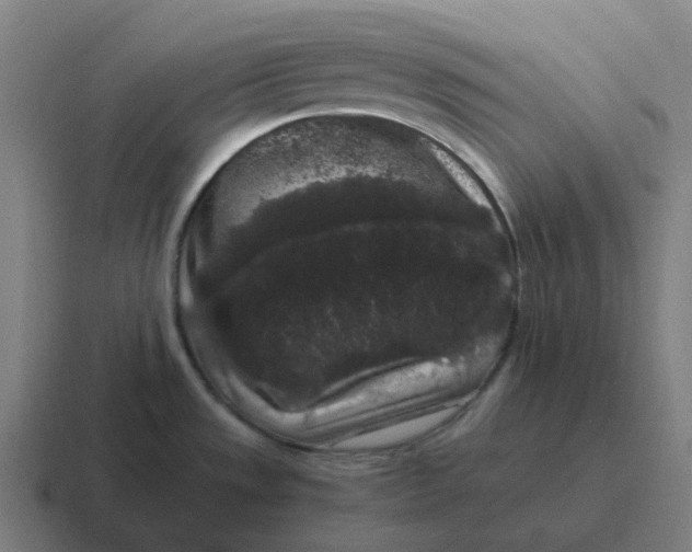 X0000116781533200912311848