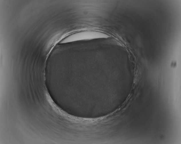 X0000116780002201001071247