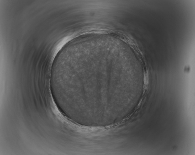 X0000116780003201001071247