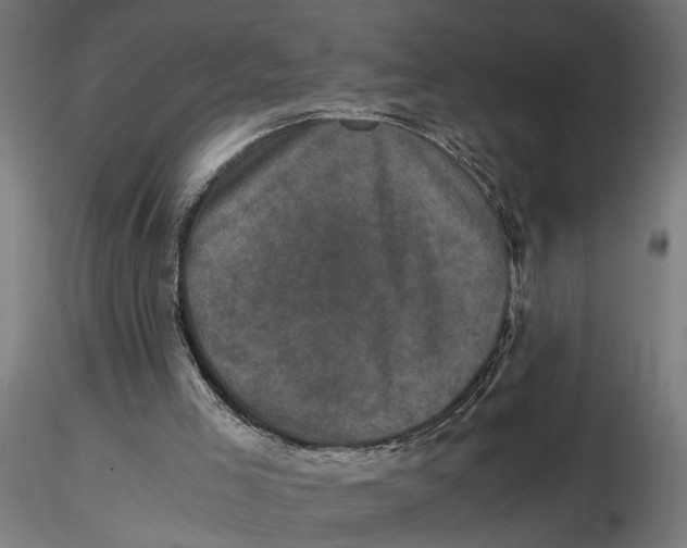 X0000116780005201001071247