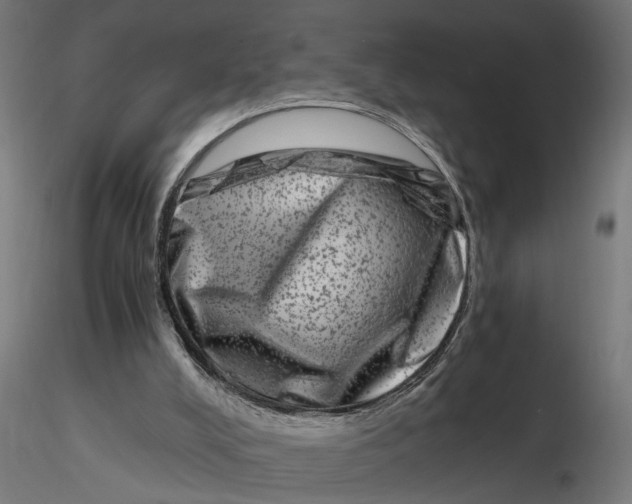 X0000116780008201001071247