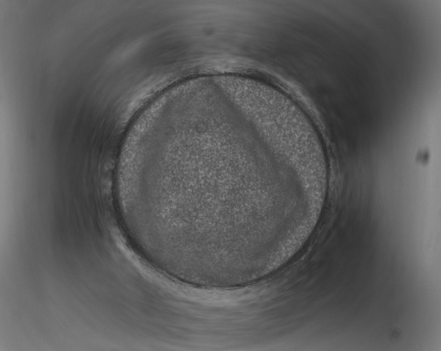 X0000116780010201001071247