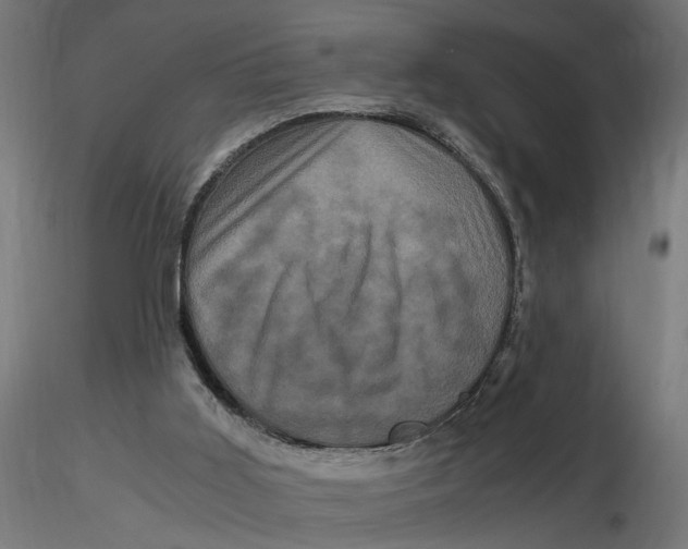 X0000116780011201001071247