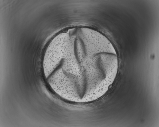 X0000116780012201001071246