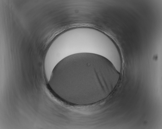 X0000116780013201001071246