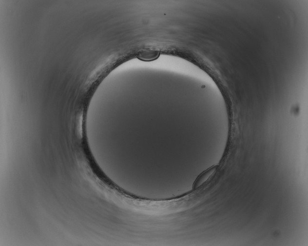 X0000116780019201001071246