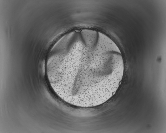 X0000116780020201001071246